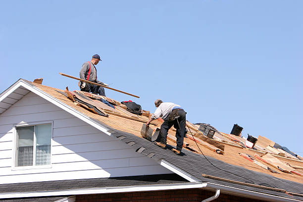 Best Chimney Flashing Repair  in Ogden, UT
